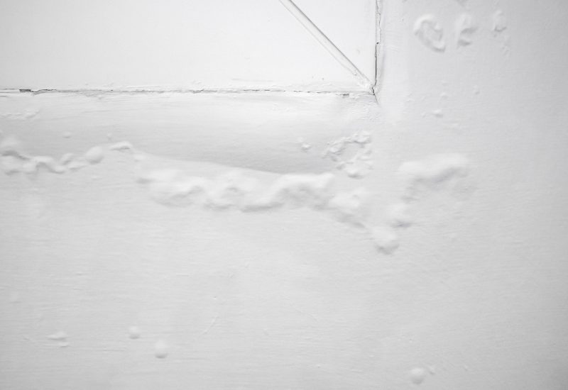Hidden Moisture Can Remain Beneath a Roof Even When the Surface Appears Dry